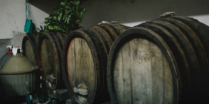 Il <i>buon</i> vino si beve a Florinas