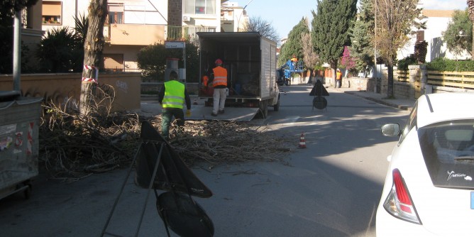 Verde, 30 operai al lavoro ad Alghero