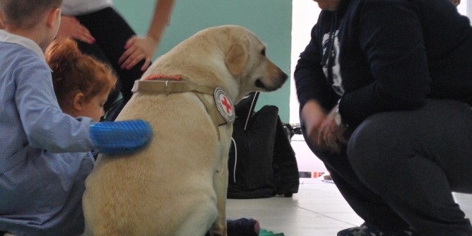 Nuoro scopre la <i>Pet therapy</i>