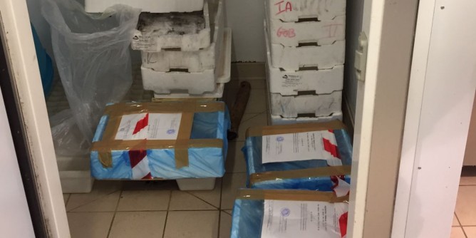 Pesca e commercio: interviene la Guardia costiera