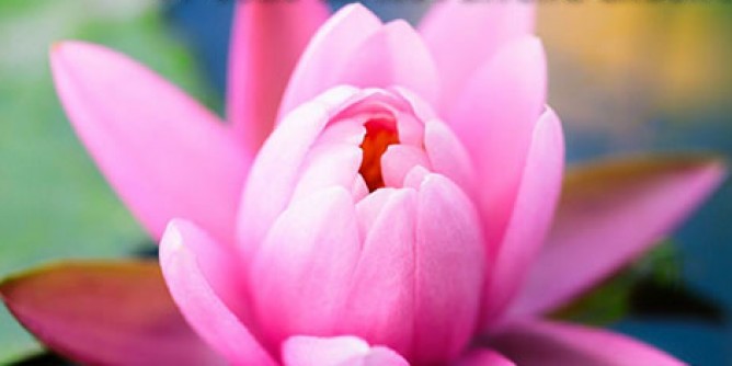Corso di meditazione ad Alghero