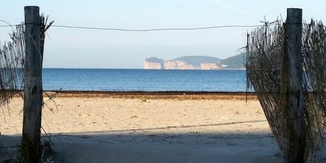 Posidonia: competenza ai balneari