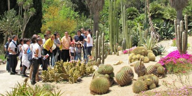 Biodiversità: Bacchetta ad Ajaccio
