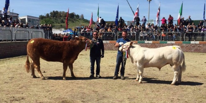 Grande successo per la Fiera zootecnica di Ozieri