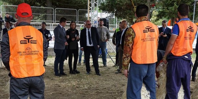 Pecora sarda in mostra a Macomer