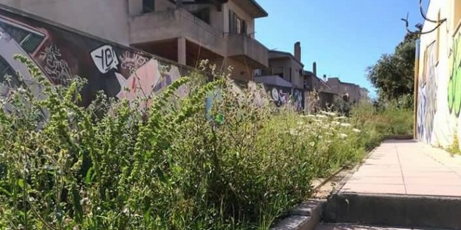 Erbacce e rifiuti: Porto Torres è una <i>giungla</i>