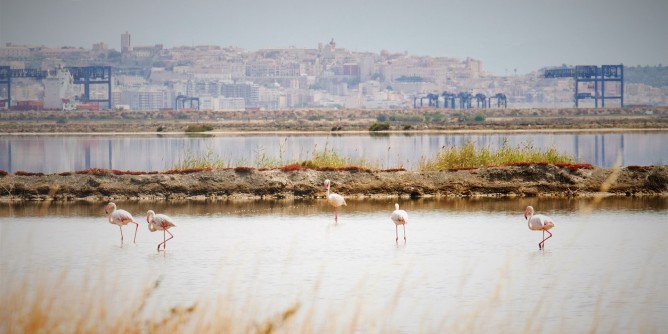 Inaugurate le Saline Conti Vecchi