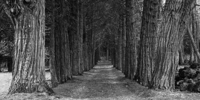 Natura e cultura a Stintino: Fressura al Mut