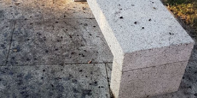 Panchine impraticabili: incriminati gli alberi di more 