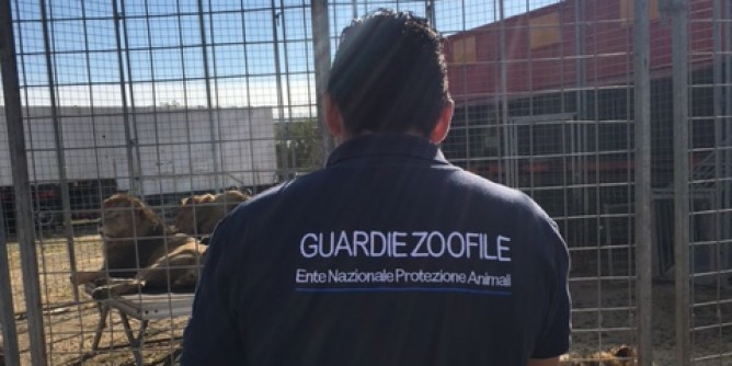 Tre Guardie Zoofile vigileranno su Alghero