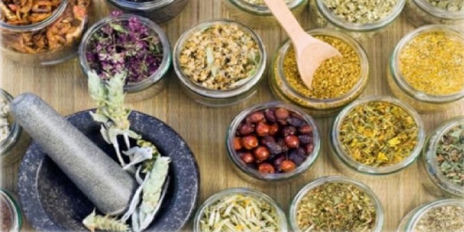 Piante officinali, corso a Cagliari