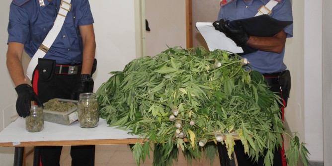 Coltivava marijuana in casa: sorsese in manette