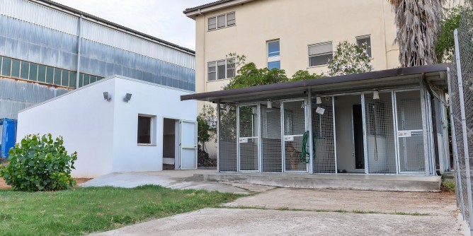 Aeroporto Alghero: Finanza, nuovo servizio cinofilo