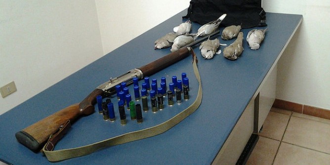 Due cacciatori denunciati nel Cagliaritano