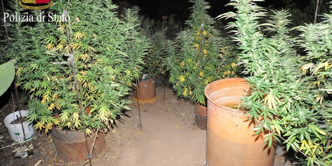 Droga: doppio arresto ad Orgosolo