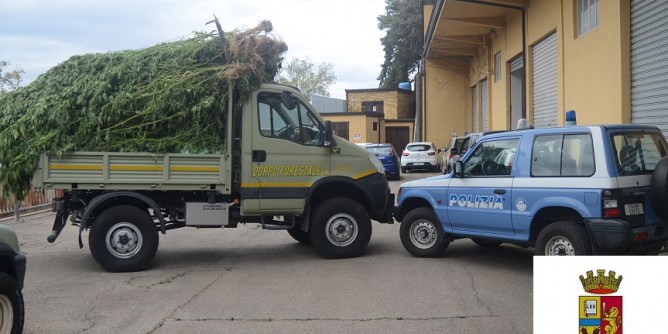 Droga in Ogliastra: scattano le manette