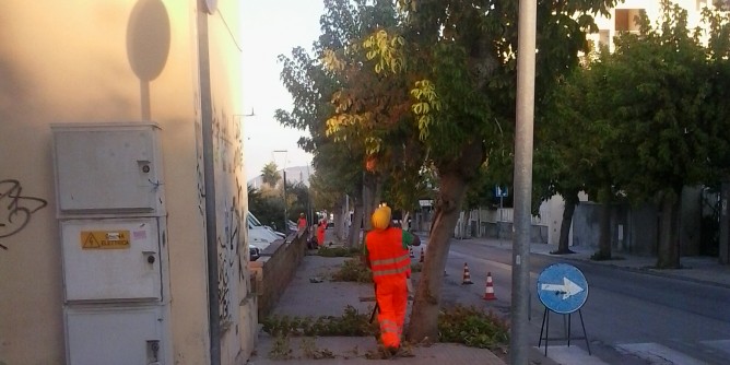 Potature ad Alghero: si riparte da via XXIV Maggio
