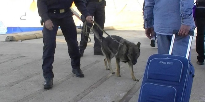 Droga ad Olbia: nigeriano in manette