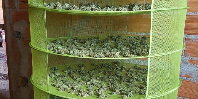 Droga: blitz a Galtellì