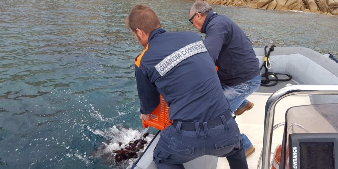 Tavolara: pesca abusiva in area protetta