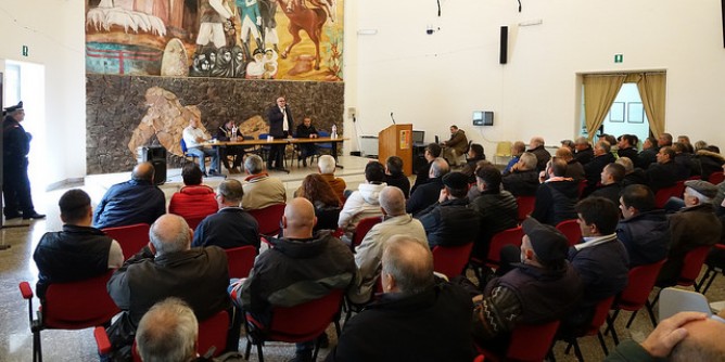 Agricoltura e pastorizia: Caria a Thiesi