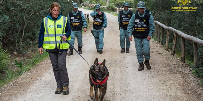 Rinviato a giudizio per avvelenamento animali