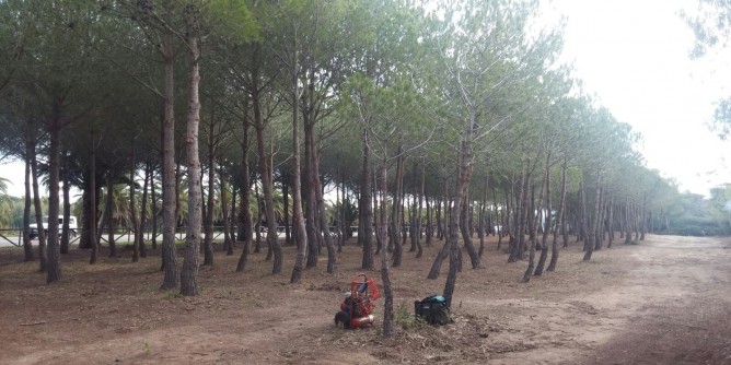 23 operai al lavoro ad Alghero. La pineta di Maria Pia <i>raddoppia</i>
