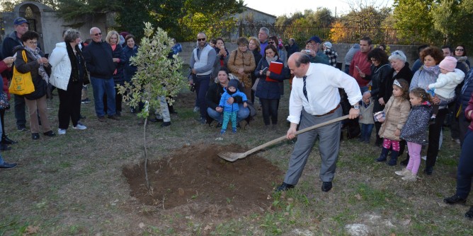 Sassari: 82 nuovi alberi in Via Coghinas