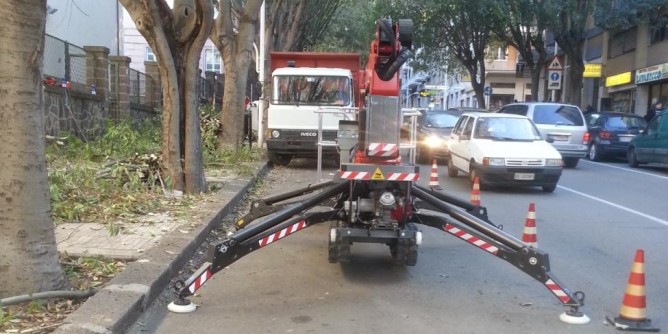 Controlli sugli alberi e nuove piante in città