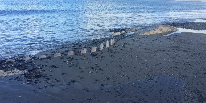 Scatta sabato l´operazione <i>recupero</i> balena