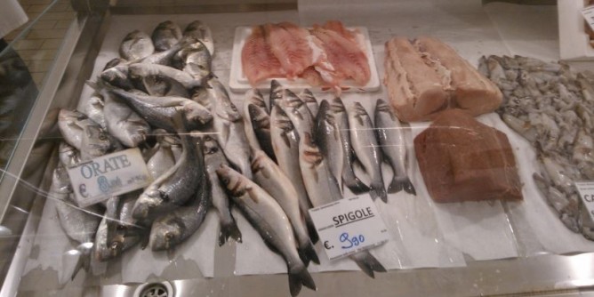 Operazione <i>Dirty Market </i>: sequestri sulla filiera pesca