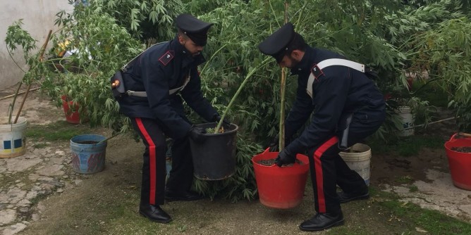 Marijuana a Ollorai: 54enne in manette