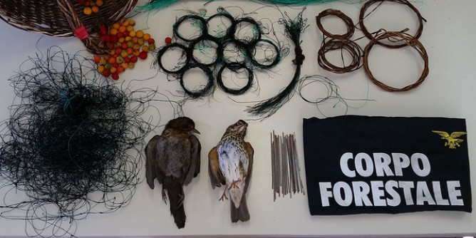 Bracconaggio: tre denunce nel Cagliaritano