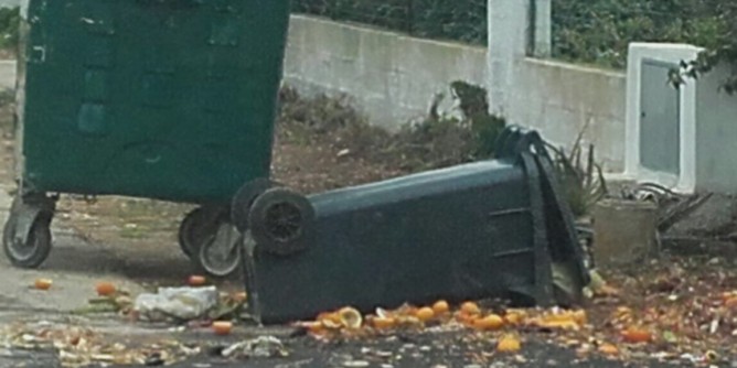 «Subito le oasi ecologiche a Maristella»