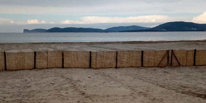 In salvo <i>l´oro bianco</i> di Alghero