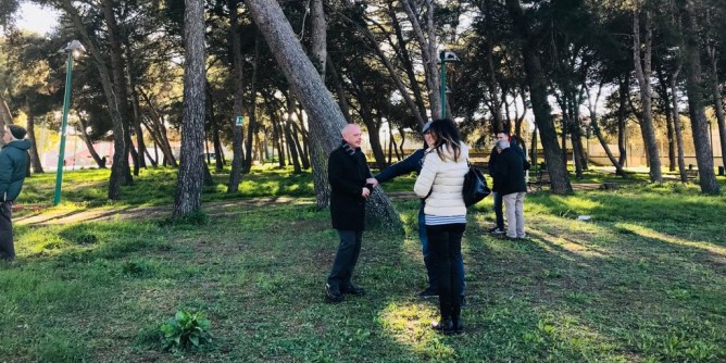 Settore Ambiente: messa in sicurezza delle aree verdi