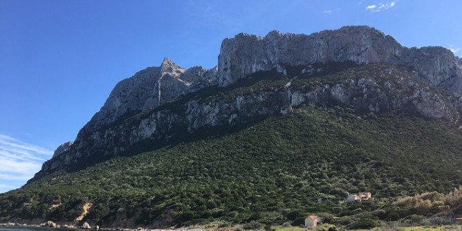 Tragedia a Tavolara: alpinista precipita in mare e muore