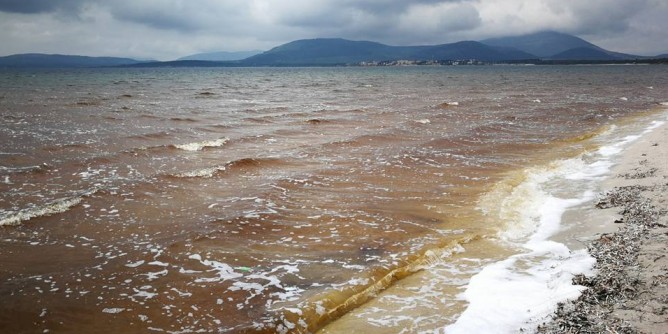 Mare marrone, <i>incubo</i> marea gialla