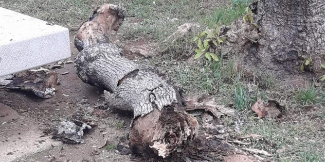 «Tragedia sfiorata al Parco Tarragona»