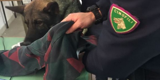 Controlli antidroga nelle scuole galluresi