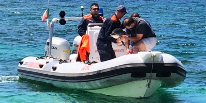 Is Arutas: cucciolo di delfino in salvo