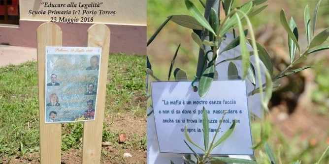 Porto Torres: studenti dedicano un ulivo alla Legalità