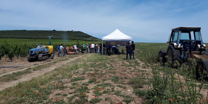 Oltre 5 milioni i danni agricoli