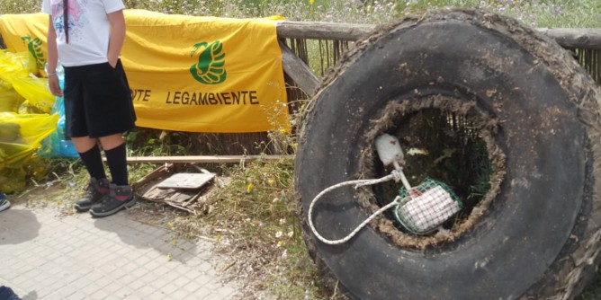 Operazione <i>Spiagge pulite</i> ad Alghero