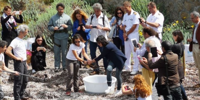 Asinara: Aree protette, sfida per lo sviluppo sostenibile