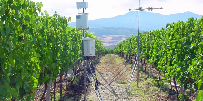 <i>Ga-Vino</i> va alluniversit