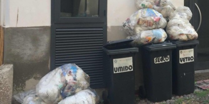 Puzza insopportabile e mosche in casa