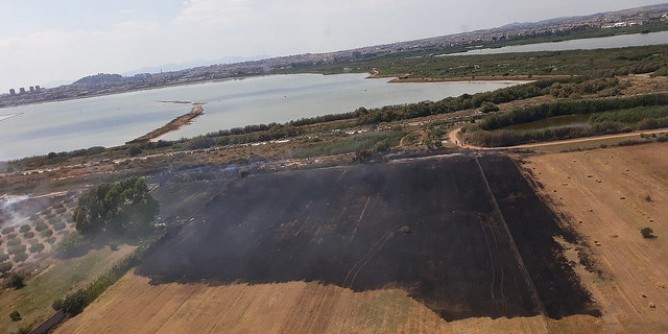 Incendio domato nel Parco di Molentargius