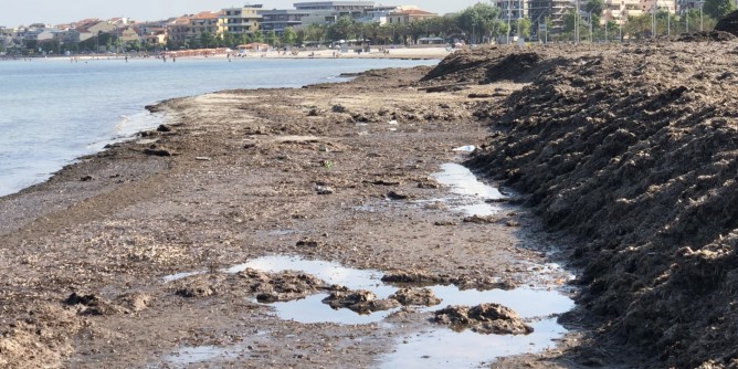 Via le <i>alghe</i>, conto alla rovescia. «Verifiche ambientali sui cumuli»