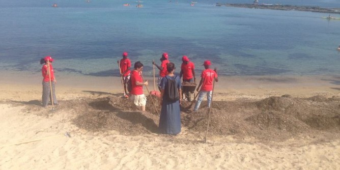 Migranti ripuliscono lo Scogliolungo dalla posidonia